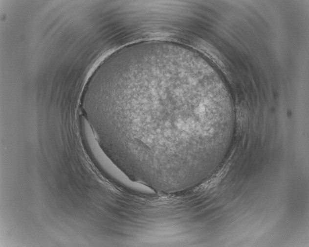 X0000069380891200606021604