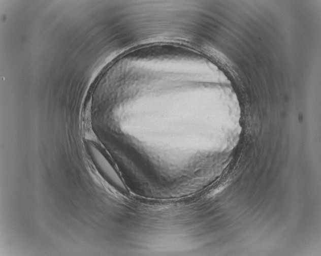 X0000069380892200606021604