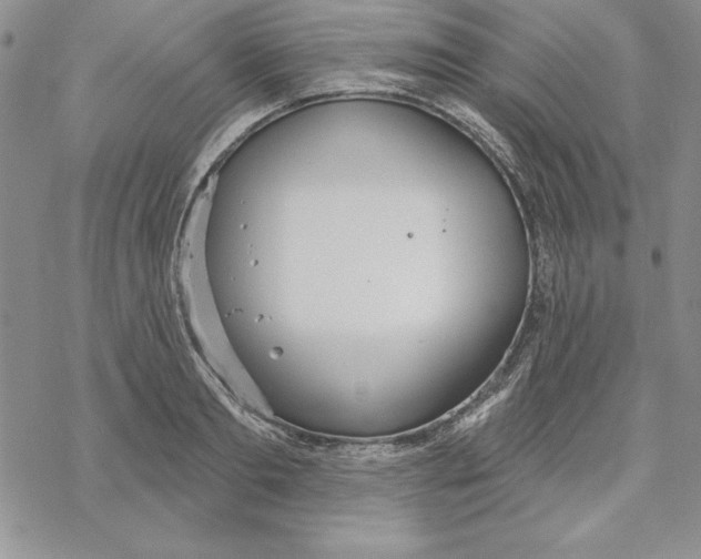 X0000069380893200606021604