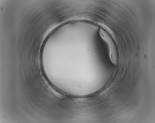 X0000069380894200606021604