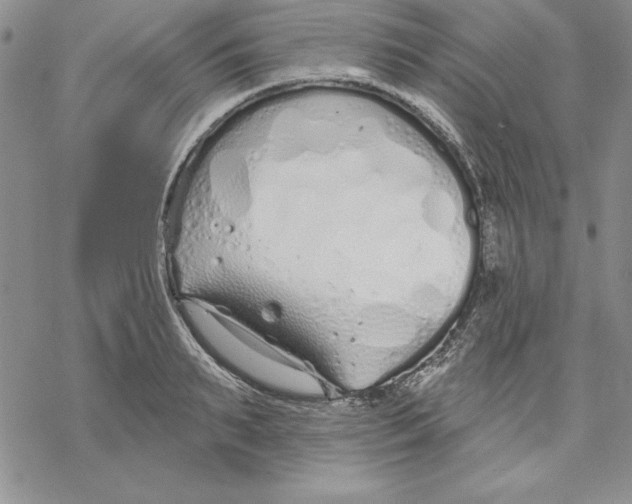 X0000069380895200606021604