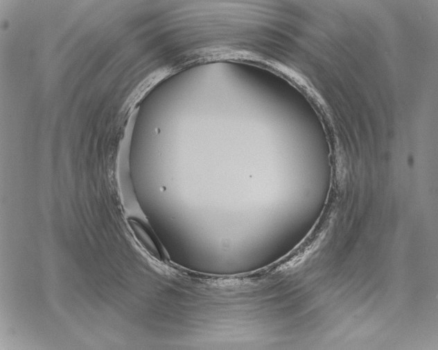 X0000069380897200606021604