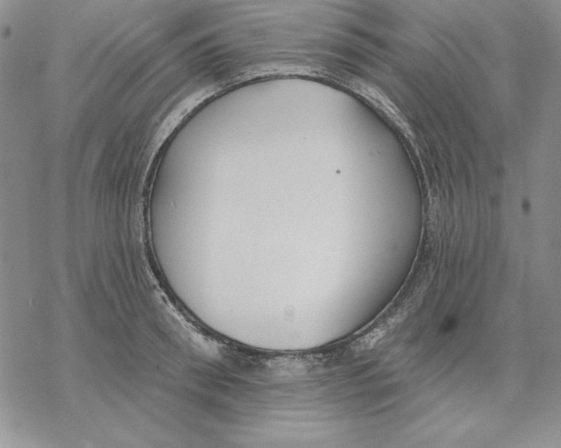 X0000069380898200606021604