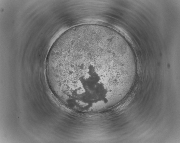 X0000069380899200606021604