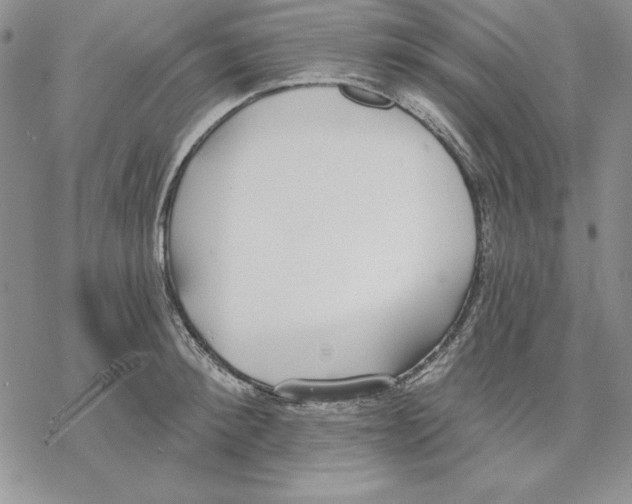 X0000069380900200606021604