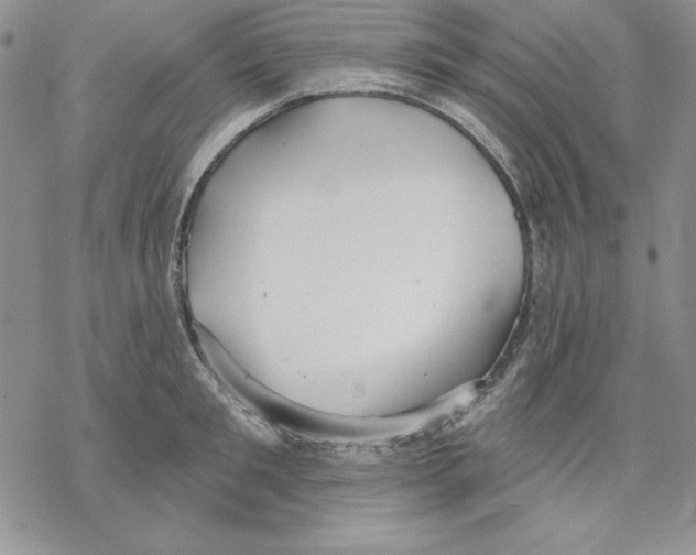 X0000069380901200606021604