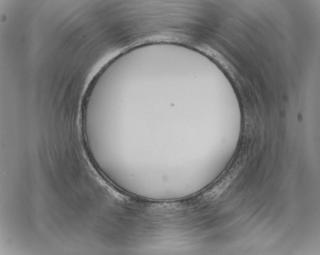 X0000069380902200606021604