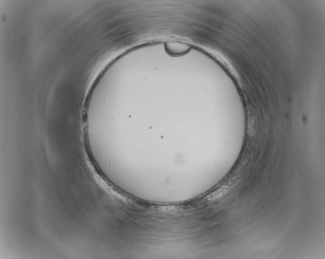 X0000069380903200606021604