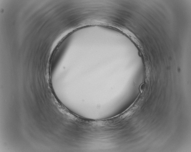 X0000069380904200606021604