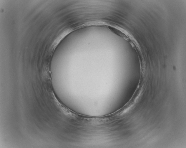 X0000069380905200606021604