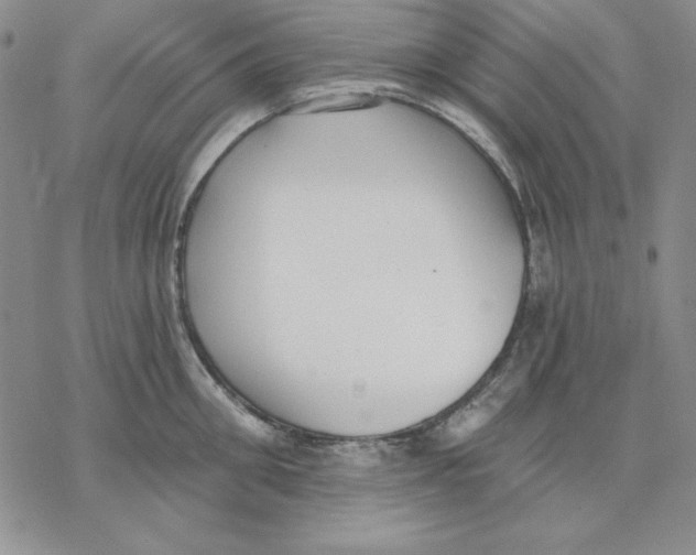 X0000069380906200606021604