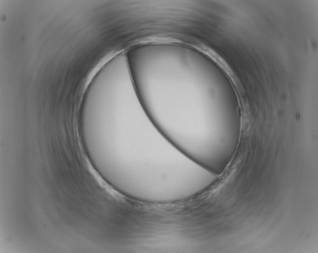 X0000069380909200606021603