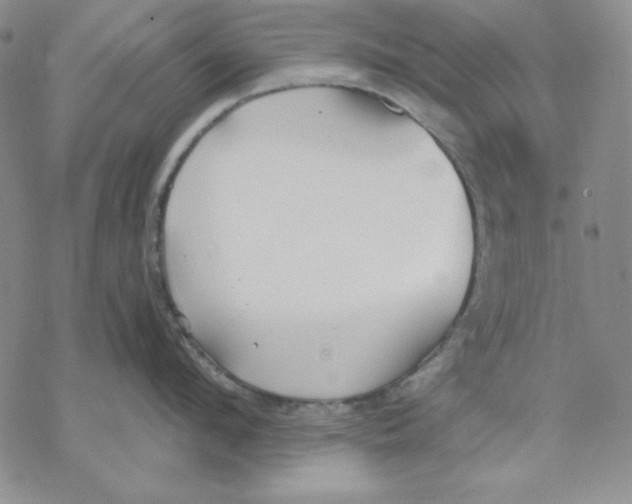 X0000069380912200606021603