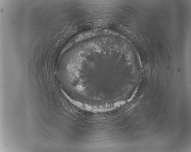 X0000069380913200606021603