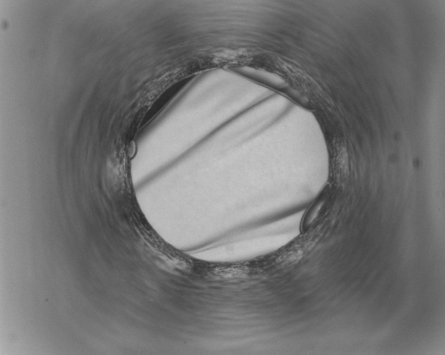 X0000069380914200606021603