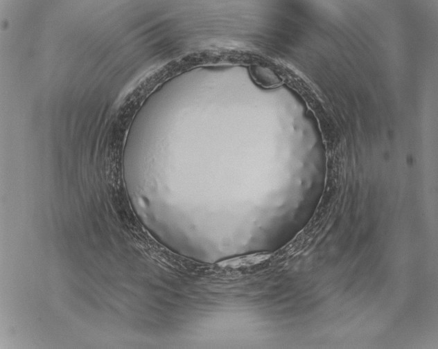 X0000069380919200606021603