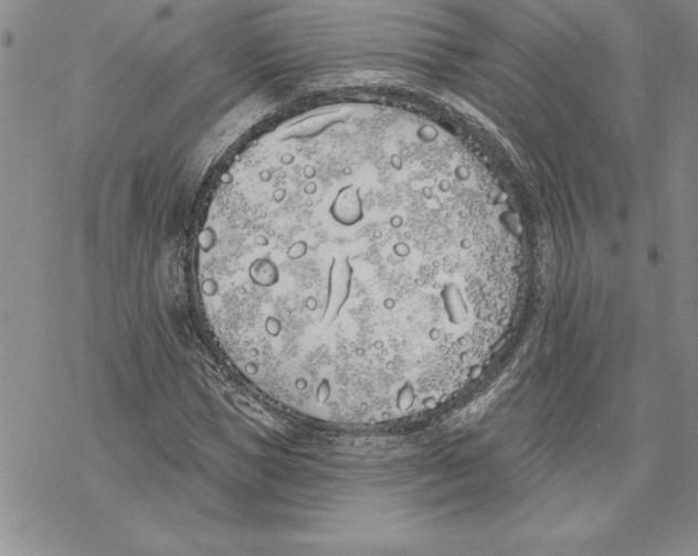 X0000069380921200606021603