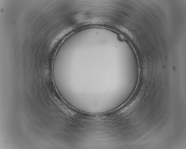 X0000069380922200606021603