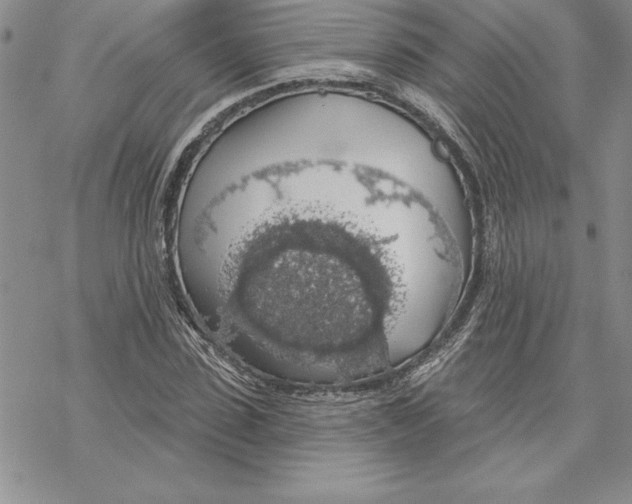 X0000069380923200606021603