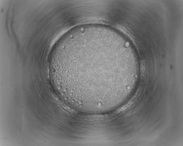 X0000069380925200606021603