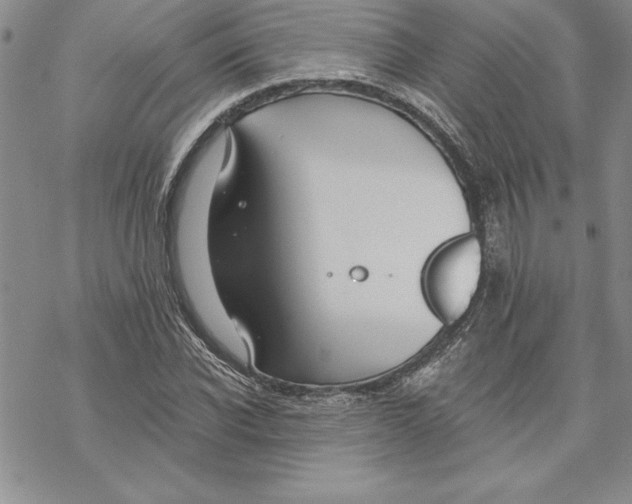 X0000069380926200606021603