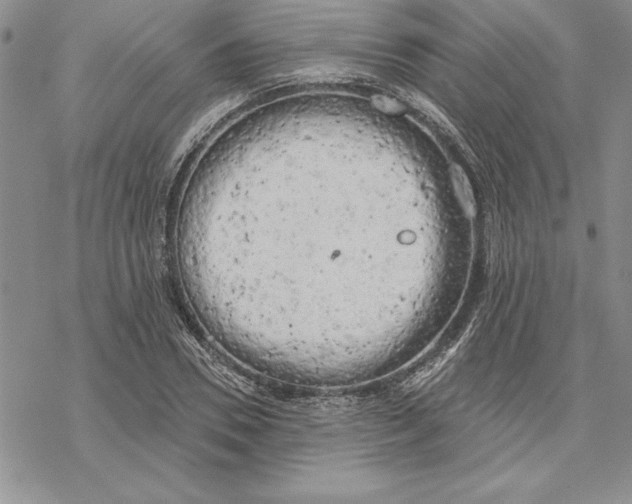 X0000069380930200606021603