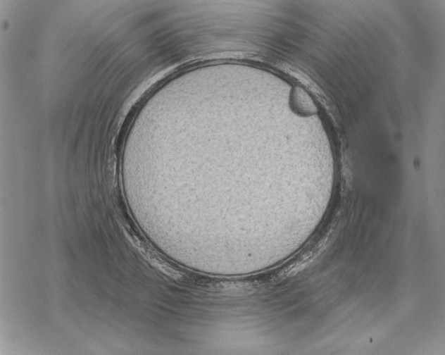 X0000069380933200606021603