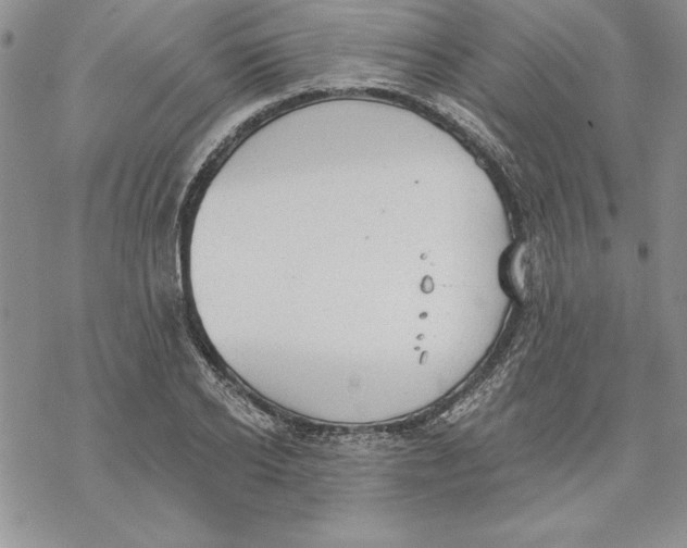 X0000069380934200606021603