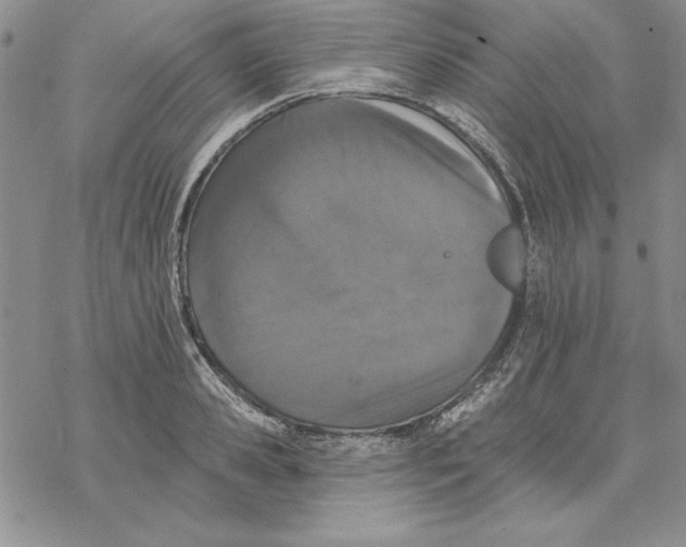 X0000069380941200606021603