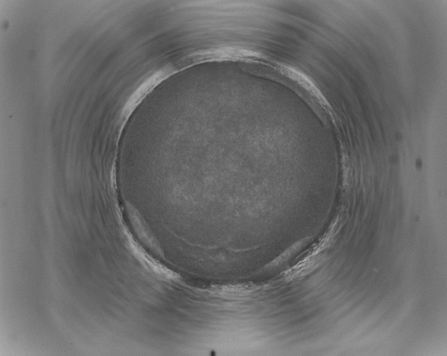 X0000069380946200606021603