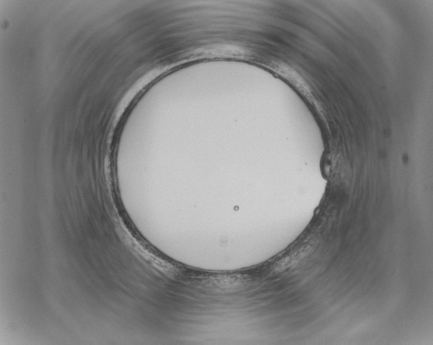 X0000069380947200606021603