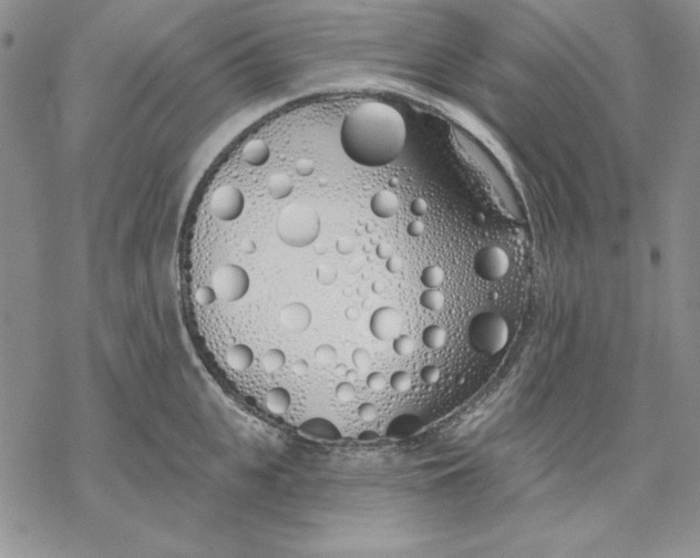 X0000069380951200606021603