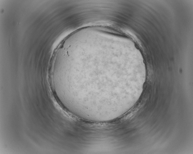 X0000069380952200606021603