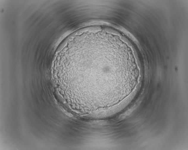 X0000069380953200606021603