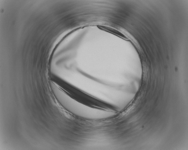 X0000069380956200606021603