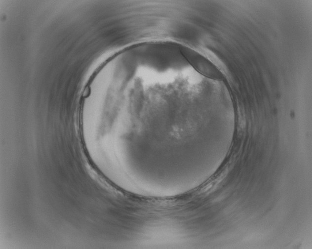 X0000069380958200606021603