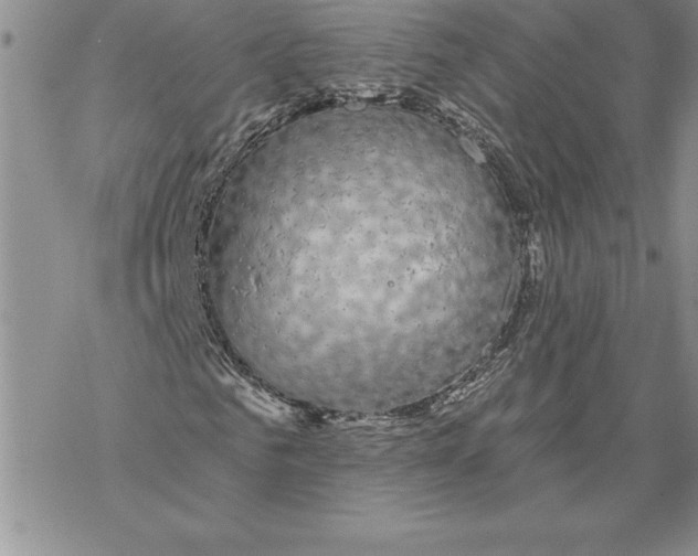 X0000069380961200606021603