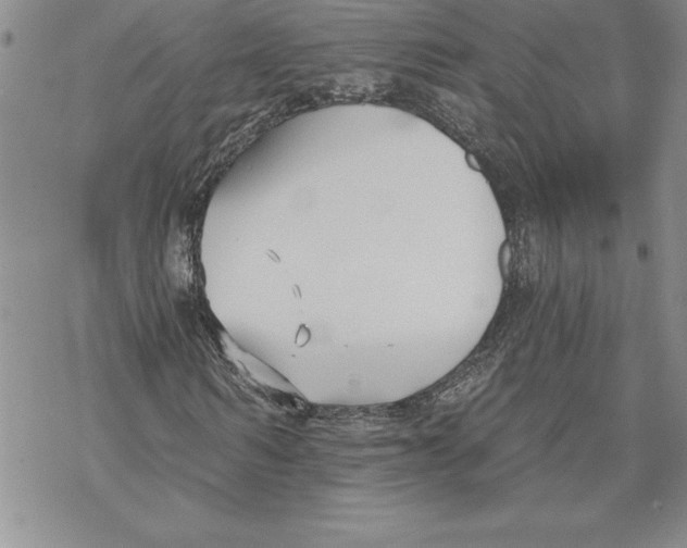 X0000069380962200606021603