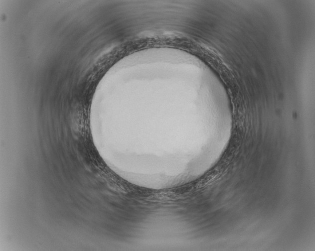 X0000069380966200606021603