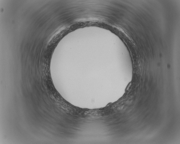 X0000069380967200606021603