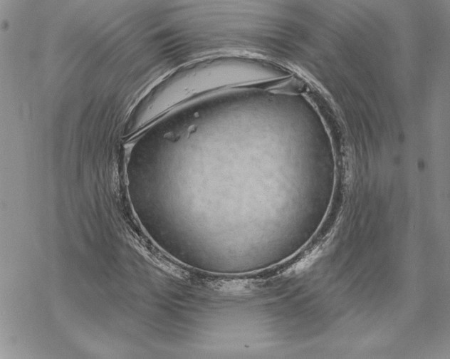 X0000069380969200606021602