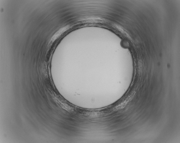 X0000069380970200606021602