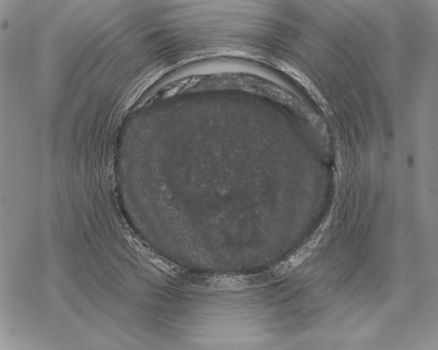 X0000069380977200606021602