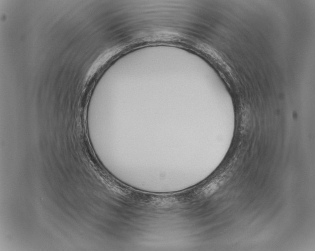 X0000069380978200606021602