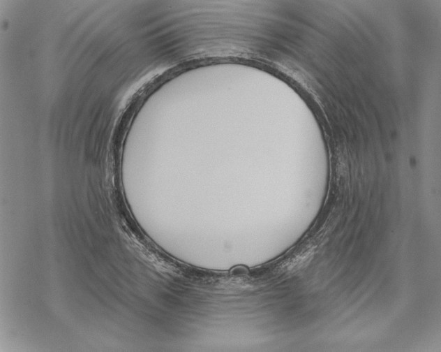 X0000069380979200606021602