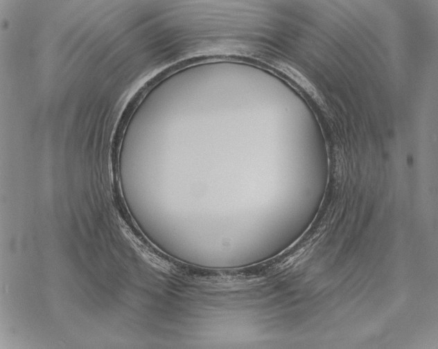 X0000069380980200606021602