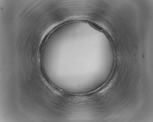 X0000069380981200606021602