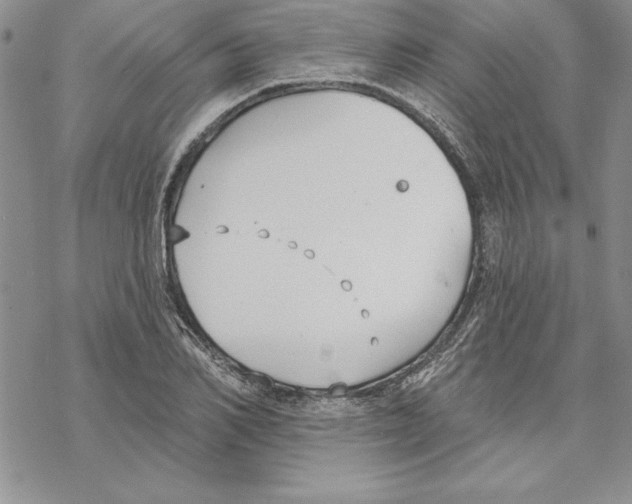 X0000069380982200606021602