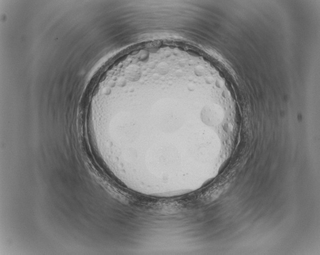 X0000069380983200606021602