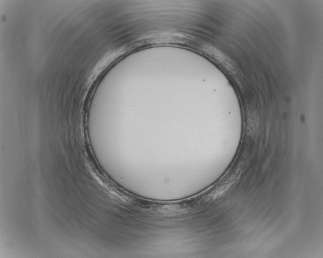 X0000069380986200606021602